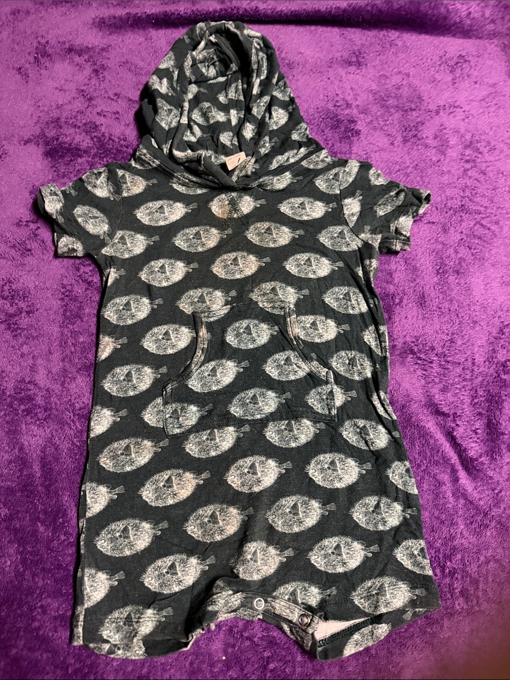 Kate Quinn, hooded short sleeve union Shorty blowfish